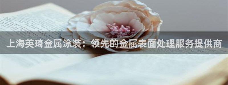 美高梅便携旅行装佛手柑护发素