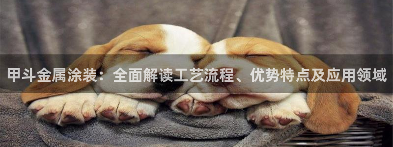美高梅展艺空间