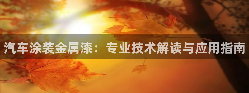 美高梅公司
