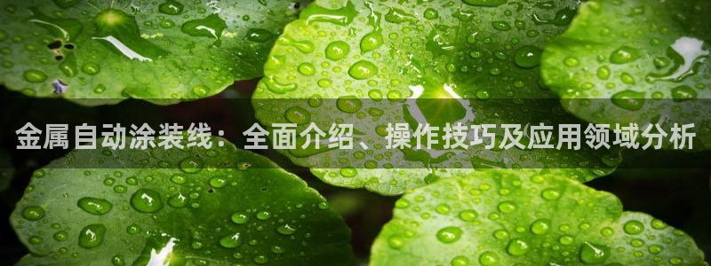 美高梅酒店英文