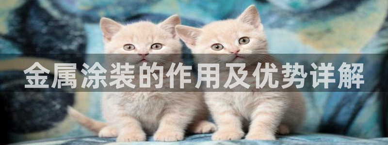 美高梅现金网