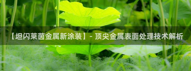 美高梅酒店免费奶茶