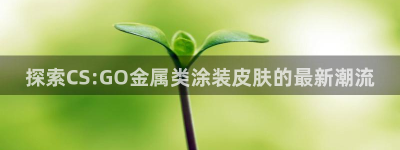 美狮美高梅酒店可以抽烟吗