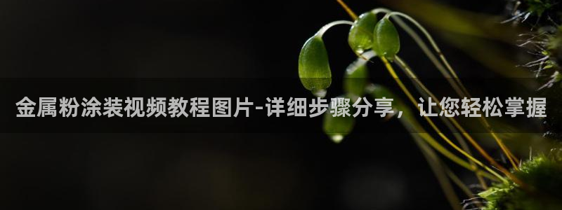 何超琼美高梅国际集团