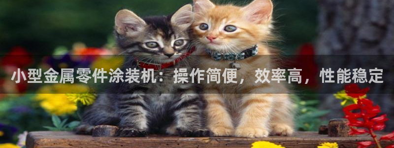 美狮美高梅酒店奶茶
