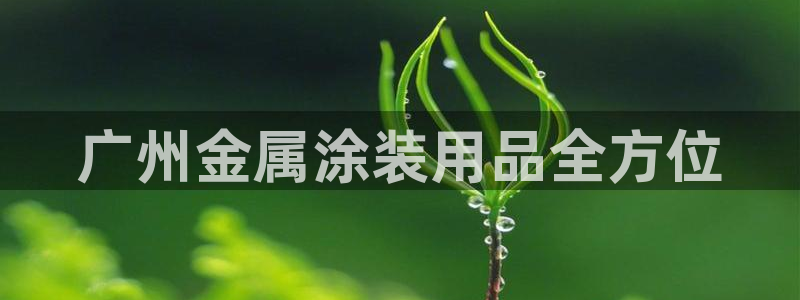 美高梅何超琼持股多少