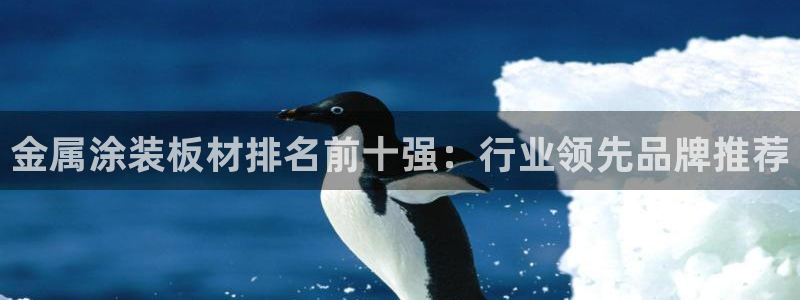 美高梅是谁的?