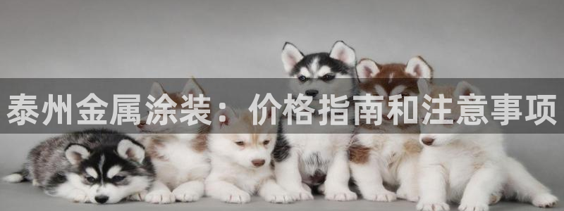 美高梅属于什么档次的品牌