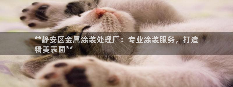 美高梅公司简介