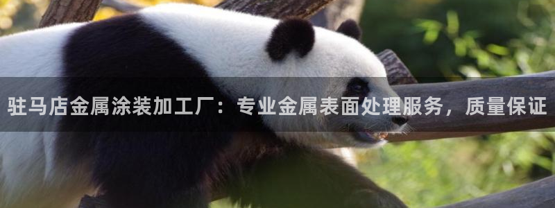 美高梅游戏网