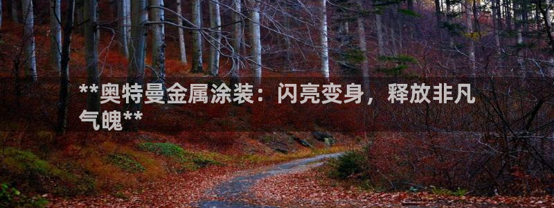美高梅会员卡颜色区别