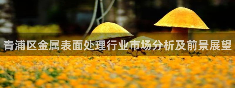 美高梅酒店排名