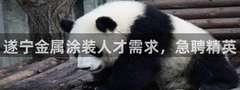 美高梅吧