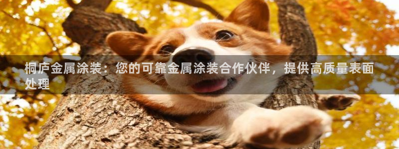 美高梅直营游戏有哪些
