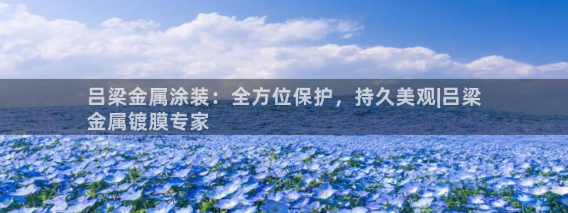 美高梅公司事件现已迎喜讯