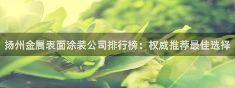 美狮美高梅酒店是几星