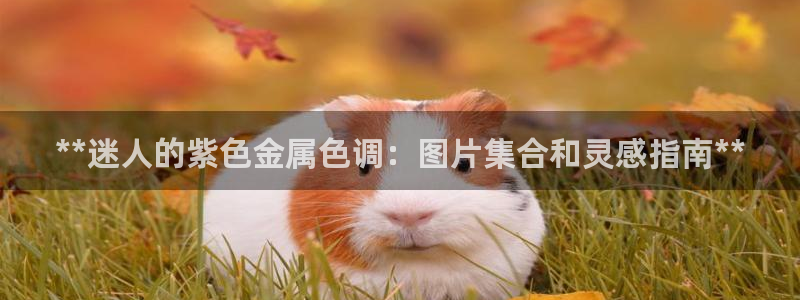 美高梅是做什么的?