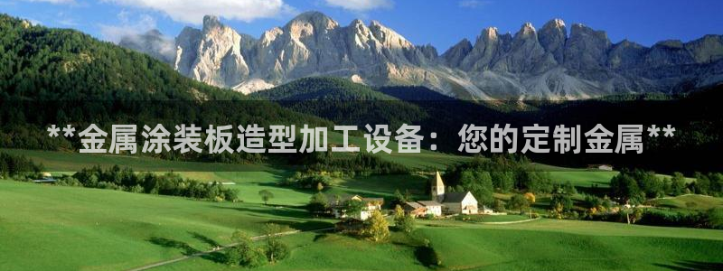 美高梅公司全称是什么