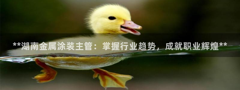 美高梅是哪个集团旗下的