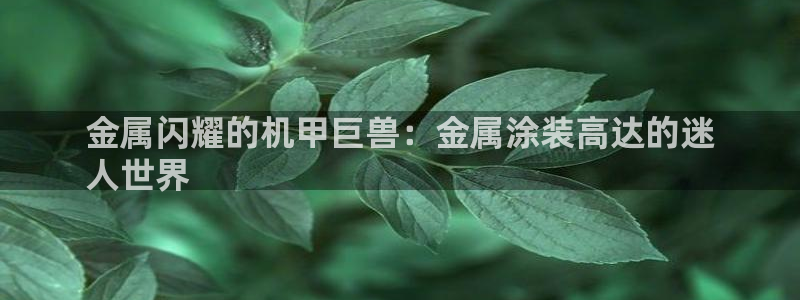 美高梅会员卡颜色区别