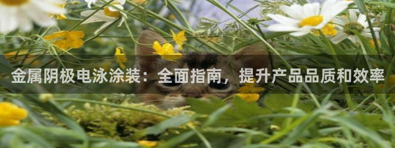 美高梅官方安卓版中文版下载安装