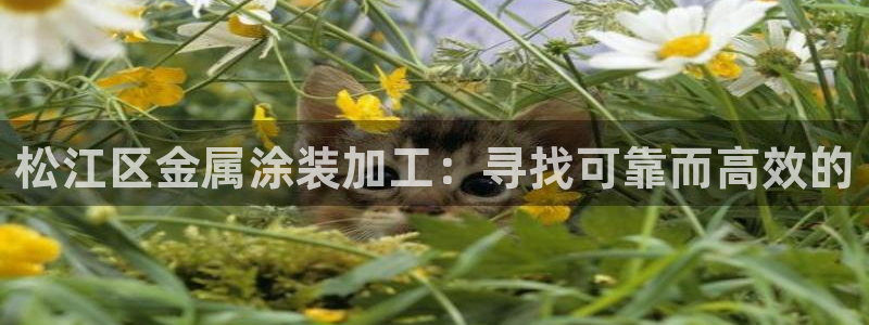 美高梅会员卡免费吗