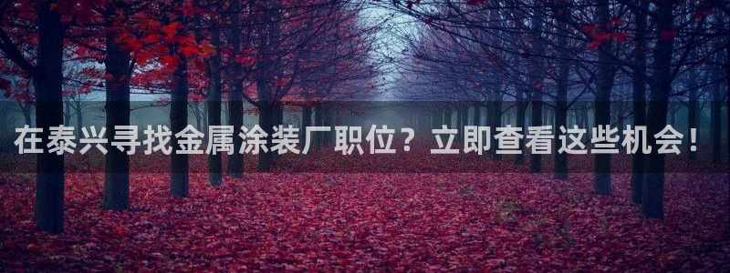 美高梅酒店免费的东西