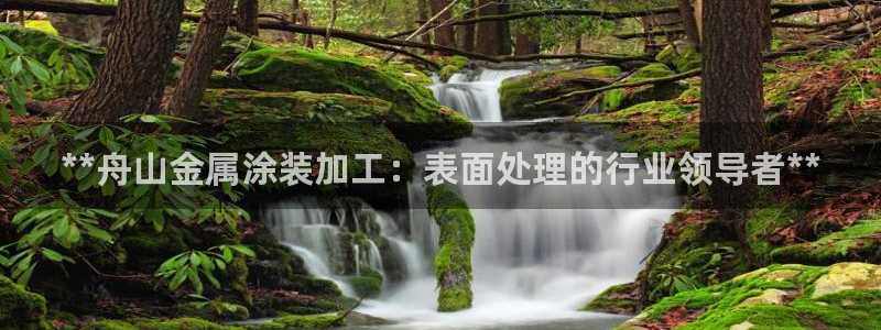 美高梅中国股票2282