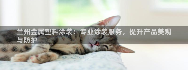 美高梅官网集团