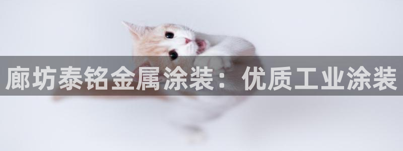 美高梅酒店外观图片