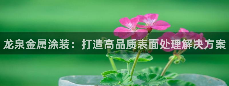 美狮美高梅酒店攻略