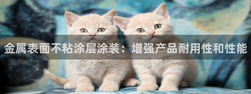 美高梅酒店评价