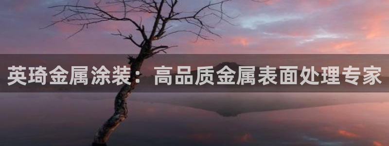 美高梅酒店房卡