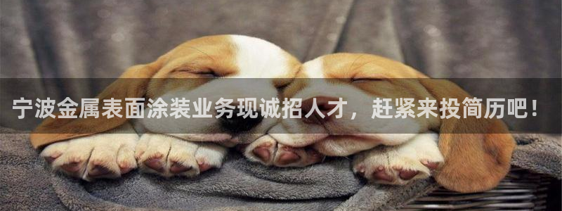 美高梅图片手机屏保