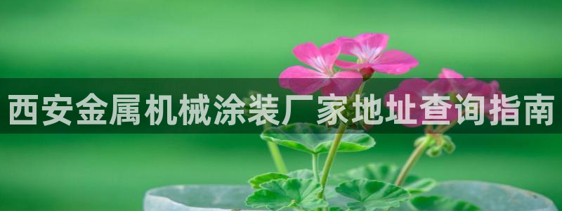 美狮美高梅淳餐厅