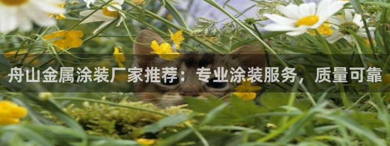 美高梅充值多少钱能提现到银行卡