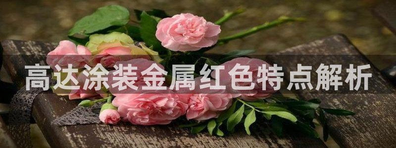 美国美高梅酒店集团