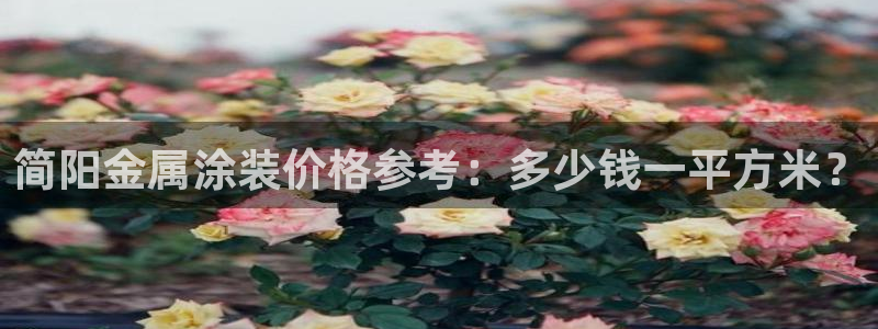 美狮美高梅 早餐