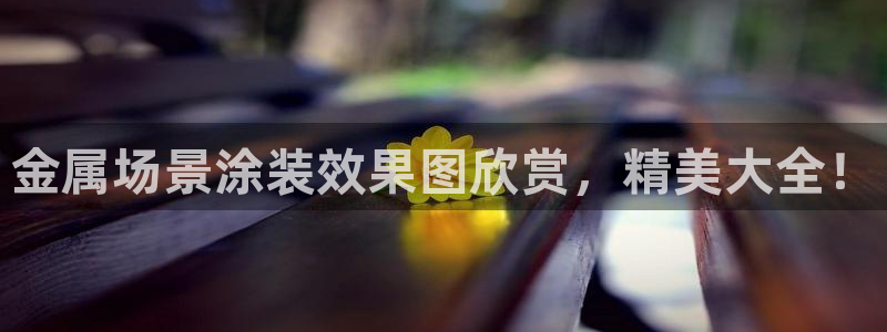 美高梅狮王卡是什么