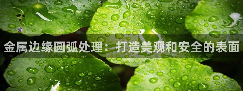 美高梅酒店为什么是狮子