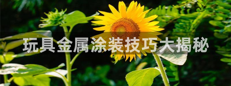美高梅会员卡可以存钱吗