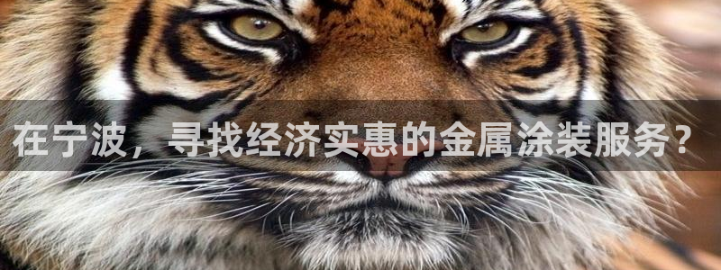 美高梅会员卡升级