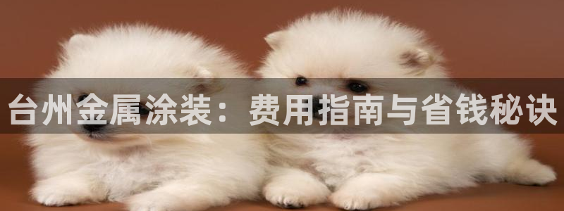 美高梅酒店表演时间：台州金属涂装：费用指