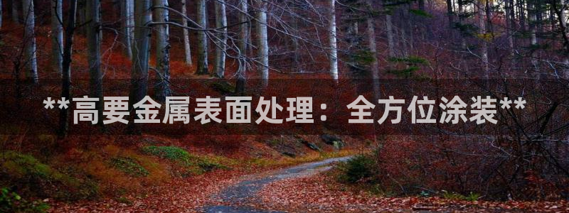 美高梅会员卡等级有效期多久啊