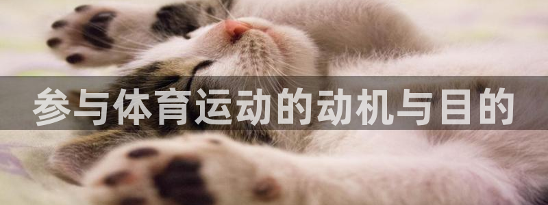必一运动体育官网