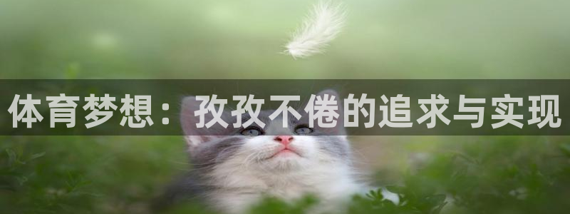 bsport必一运动