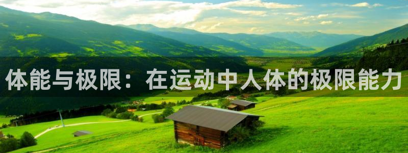 必一运动体育官网入口